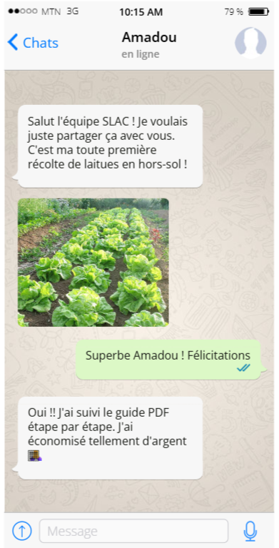 Témoignage WhatsApp Débutant